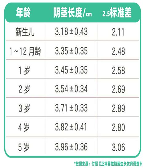 15公分算大嗎|人类阴茎尺寸